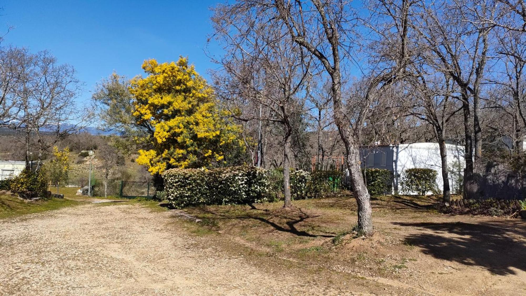 Camping De Cervera De Buitrago 외부 사진