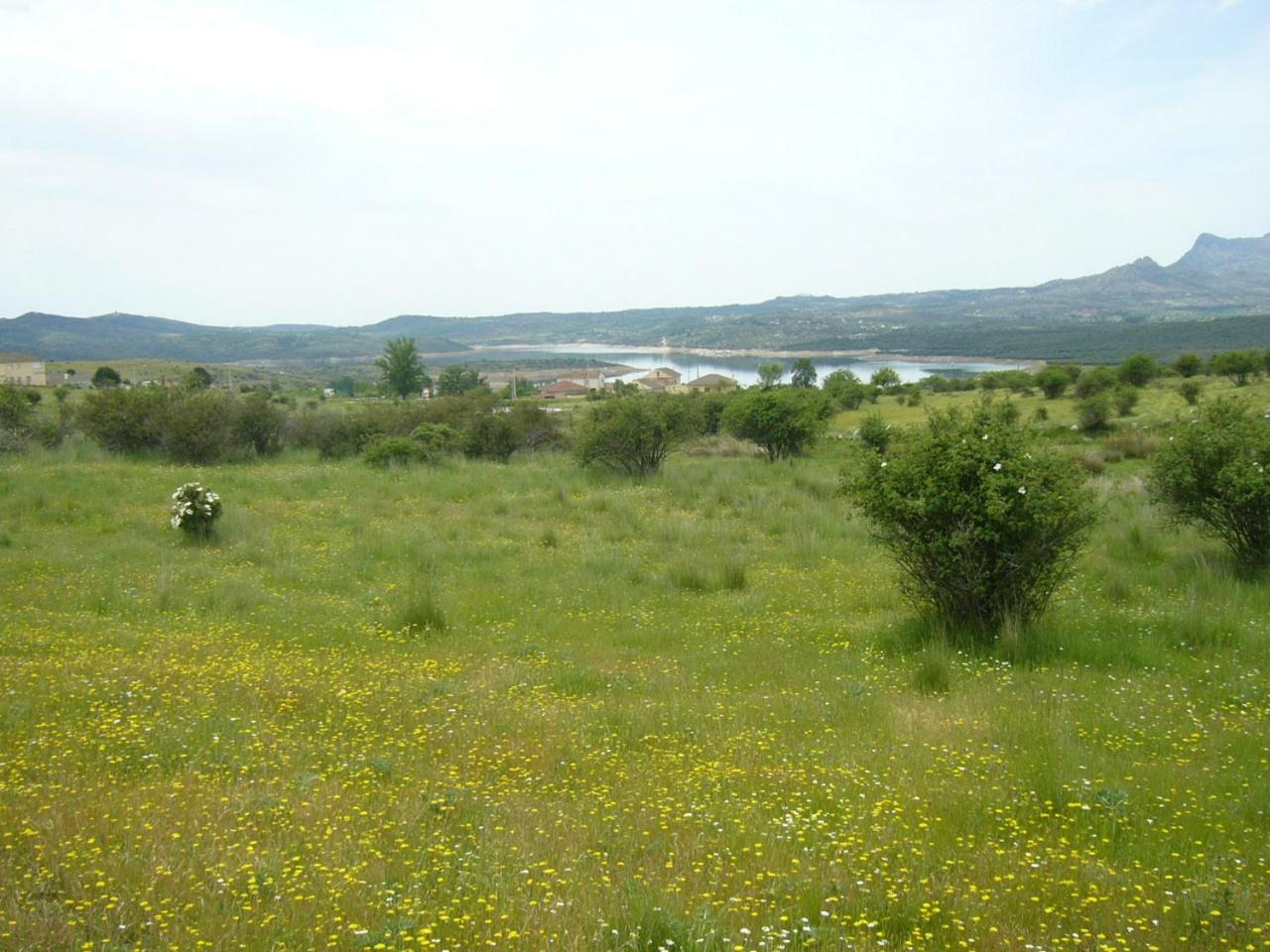 Camping De Cervera De Buitrago 외부 사진